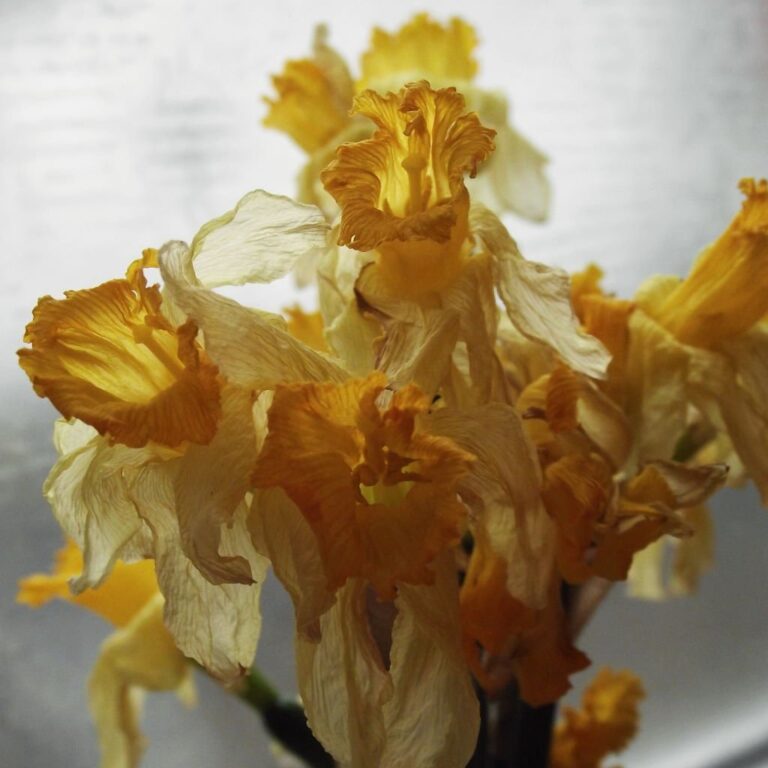 En vissen blomsterbuket